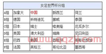 世界杯分组球队什么情况