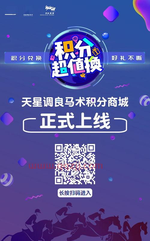 联赛积分