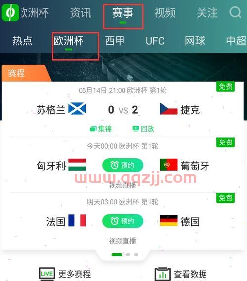 欧洲杯除了爱奇艺还有哪里直播（爱奇艺哪里看欧洲杯直播） 第1张